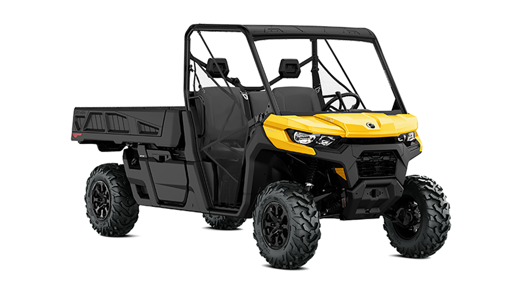 2025 Defender Pro DPS HD10 - 1